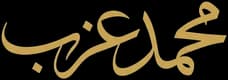 محمد عزب